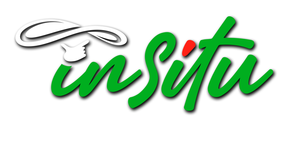 insitu_Logo